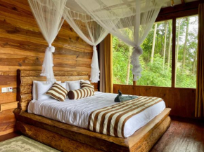 Rustic Cottage